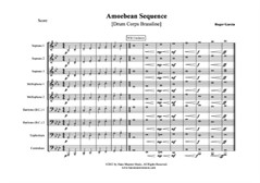 Amoebean Sequence (Drum Corps)